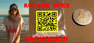 гидра Камышлов