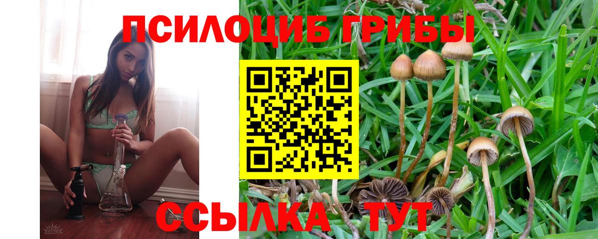 Псилоцибиновые грибы прущие грибы  Вход с VPN  Галлюциногенные грибы GOLDEN TEACHER  Красный Сулин 